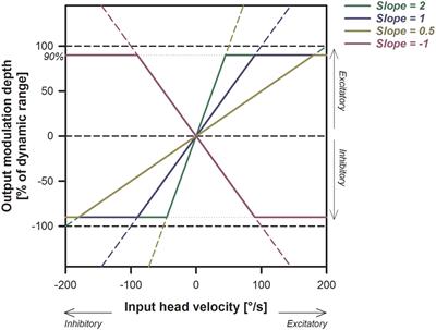 The Video Head Impulse Test to Assess the Efficacy of Vestibular Implants in Humans